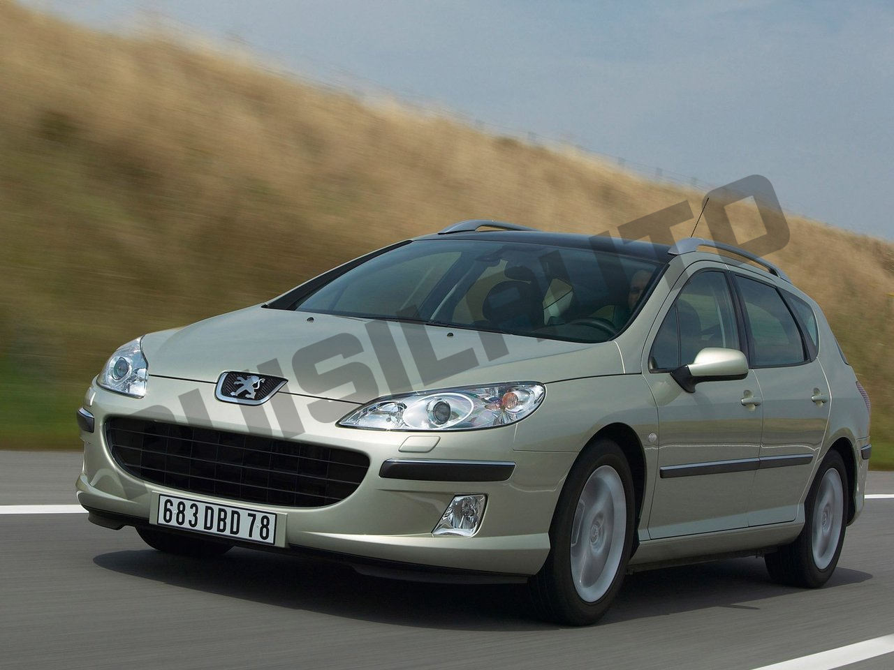 PEUGEOT 407 SW [2004-2011]